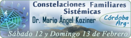 Constelaciones Familiares Sist&eacute;micas