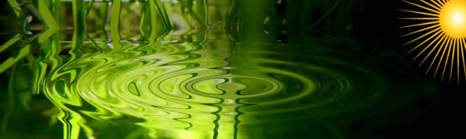 Transformando el Enojo