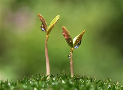 Deja de Esperar y Empieza a Liderar