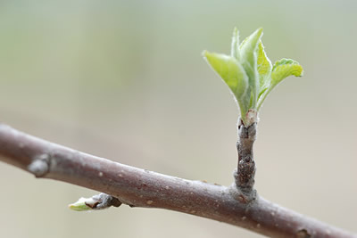 Cuando lo &Uacute;nico que Queda es Dios